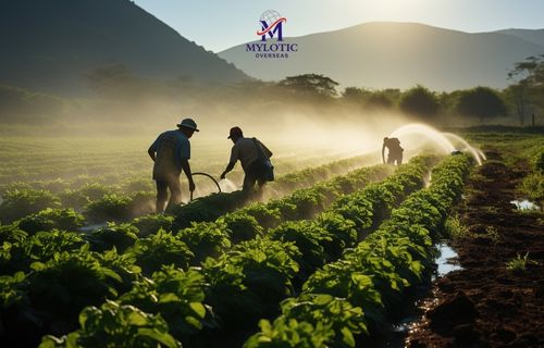 untitled design (19)