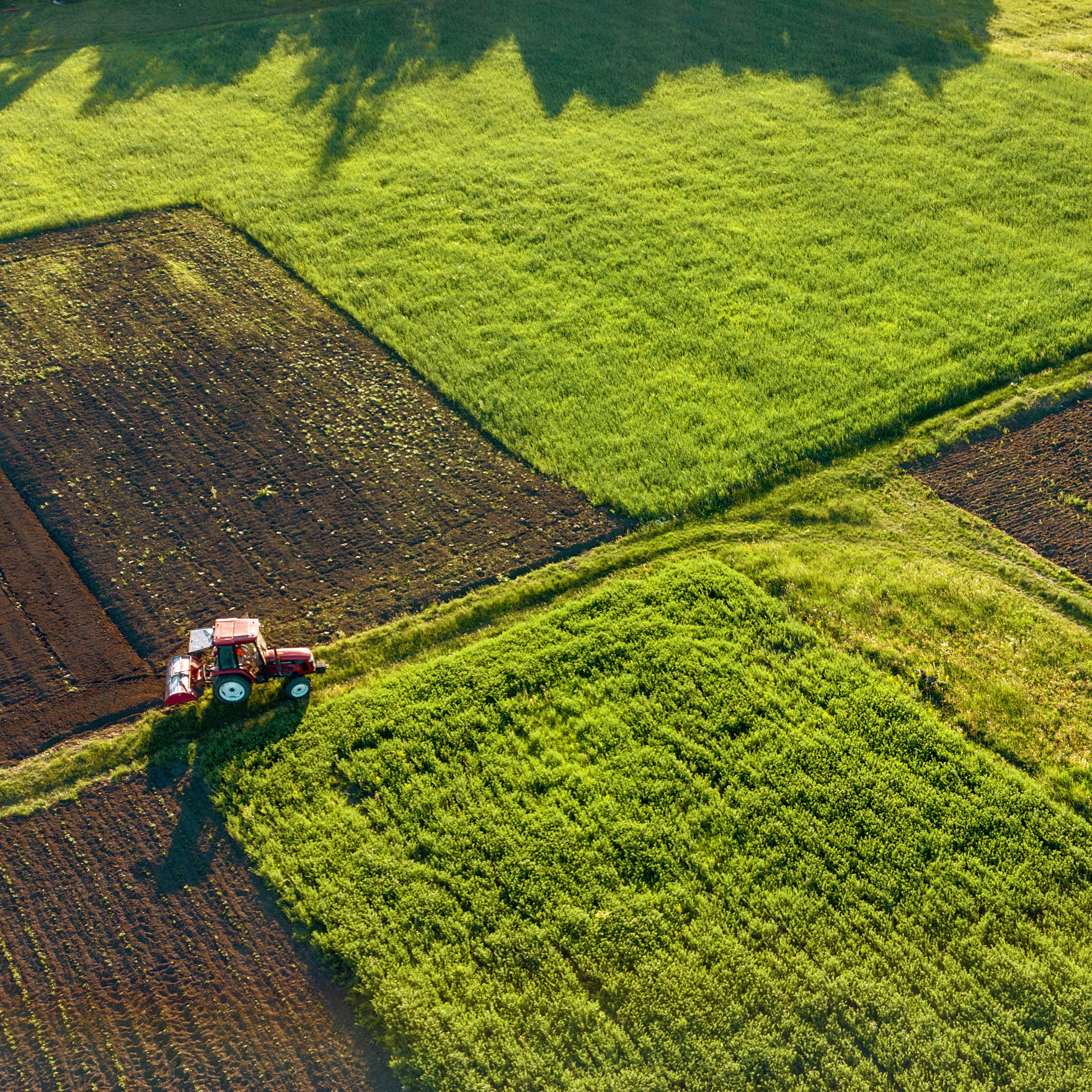 Home aerial view from the drone, a bird